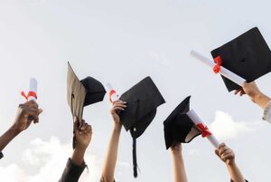 Fresh Graduate